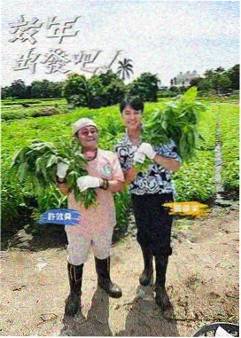 马赛档案影片海报